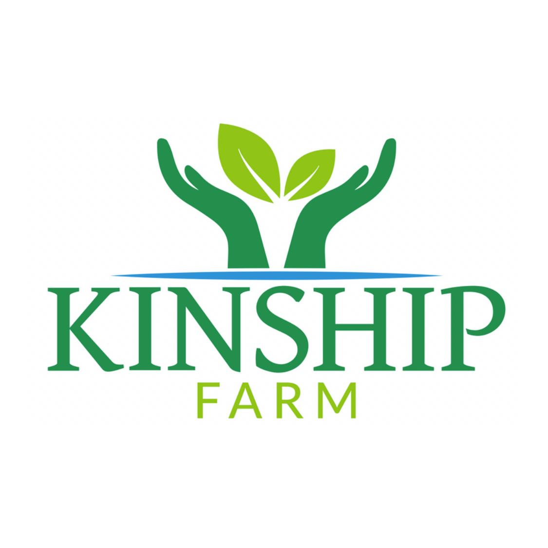 Harvest dinner 2024 – Kinship Farm