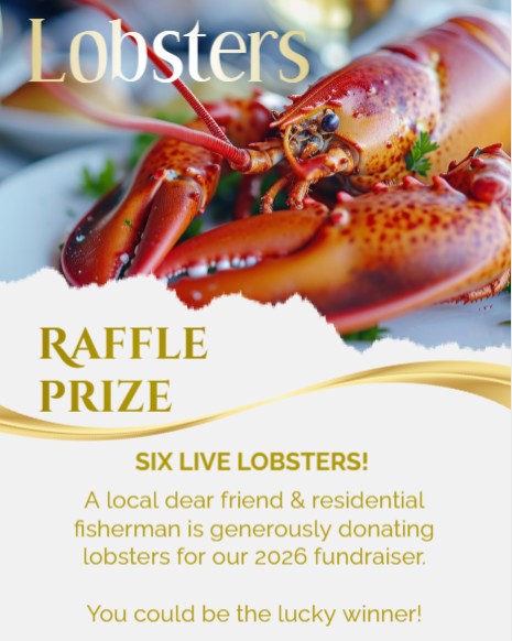SIX LIVE LOBSTERS!